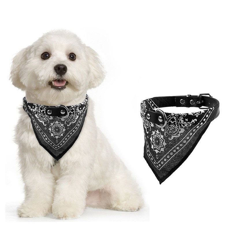 FREE Limited Edition 2 in 1 Pet Bandana Collar